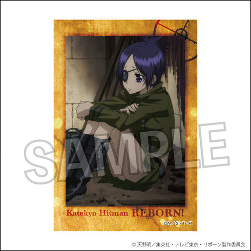 『家庭教師ヒットマンREBORN!』スタパネ 22【202507再販】